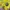Streetwear Casual T-shirt Pria yellow photo 4
