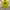 Streetwear Casual T-shirt Pria yellow photo 2