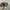 Sunbelt Realtree Hats by Cap America photo 4