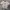 Nautica Streetwear Casual T-shirt Pria gray photo 1