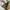 Studio Tropik Foundcealer NC05 photo 1