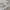 Polo Shirt Nike Broken White Woman photo 3