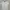 Polo Shirt Nike Broken White Woman photo 1