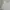 Polo Shirt Nike Broken White Woman photo 5