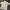 Bowling Shirt Mens Wear photo 4