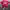 Japanese brand Casual T-shirt Pria red photo 1