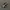 CONVERSE ONE STAR BLACK WHITE photo 4