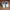 Bata Sportswear Sneakers Kids white photo 3
