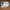Bata Sportswear Sneakers Kids white photo 2