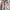 PLAYBOY zipper/Y2K/2000s/Alt Cuties tuff/Coquette/Semi crop photo 2