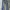 Denim Jeans Botcut Ixaoi
