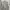 Kevas Lombard Hoodie Misty Grey - M