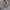 Dickies Canvas Carpenter Rinsed Slate Gray photo 3