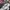 DICKIES VELVET ART 22 photo 5