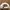 47 Brand Streetwear Skater Hat Pria white photo 3