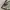 Find Out Pocket Camp Tee photo 5
