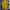 Casual T-shirt Pria yellow photo 1