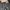 TRUE RELIGION Low Rise Bootcut Jeans | Y2K, 2000s, not miss  photo 3