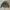 leather jacket biker vintage ramones photo 1