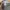 Japanese brand Casual T-shirt Pria khaki photo 6