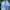 Polo Ralph Lauren Skater Indie Formal shirt Pria blue photo 1