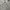 Japanese Brand Streetwear Casual Casual Shirt Pria Tan Cream