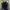 Drestrip Japan Marijuana Gold Tapped Track Jacket photo 7