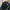 Drestrip Japan Marijuana Gold Tapped Track Jacket photo 3