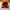 Airwalk fleme vintage 90s short pants photo 5