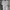 Moncler Casual Polo shirt Pria white photo 1