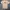 Vintage Y2K T-shirt Pria cream photo 1