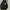 HOODIE Ziper Jets photo 2