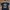 Kaos Band Baptist Punk