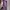 [NEW] Philips catokan Brush BHH880 photo 1