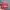 [NEW] OMG Cushion Shade 21Wlight 