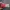 [NEW] OMG Cushion shade 21Wlight  photo 3