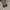 Louis Vuitton Luxury Shoulder bag Wanita white photo 3