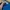 Obey Streetwear Skater T-shirt Pria blue photo 6