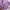 Mambo Vintage T-shirt Pria purple photo 6