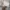 Partimento Canvas Hooded Jacket photo 4