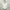 Partimento Canvas Hooded Jacket photo 9