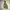 Fila Streetwear Sportswear Windbreaker Pria tan photo 5