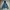 Levi's Streetwear Sportswear Windbreaker Pria multicolor photo 1