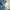 Levi's Streetwear Sportswear Windbreaker Pria multicolor photo 8