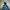 Levi's Streetwear Sportswear Windbreaker Pria multicolor photo 2