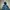 Levi's Streetwear Sportswear Windbreaker Pria Multicolor