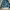 Levi's Streetwear Sportswear Windbreaker Pria multicolor photo 5