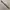 Enoch genuine leather belt photo 1