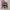 Fruit of the Loom Vintage Y2K Sweater Pria white photo 2