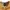 Feltics Vintage Streetwear Sweater Pria yellow photo 3